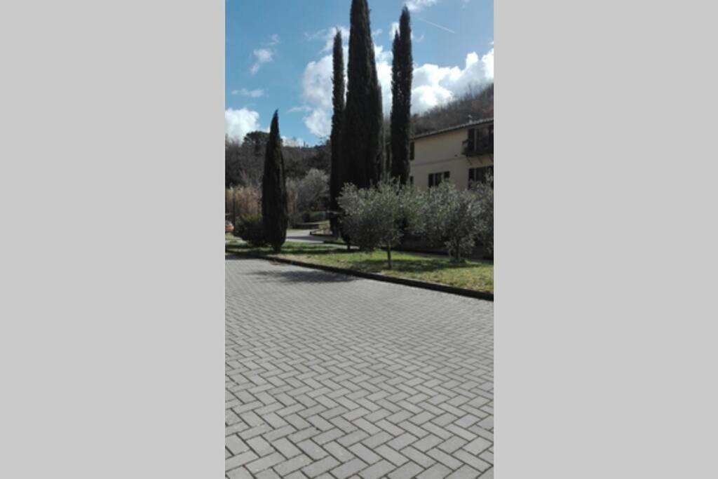 Casazappa - In Centro A Piedi, Parcheggio E Giardino Privato Apartment Siena Exterior photo